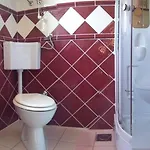 Brsuda 2/18 * Segotici